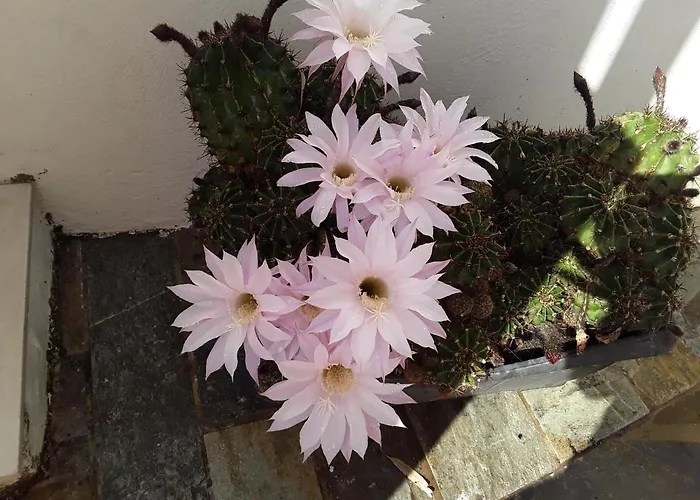 The House In The Port * Korissia (Kea)