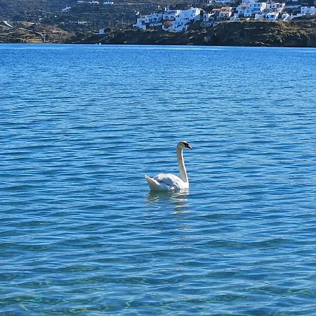 The House In The Port Korissia (Kea)